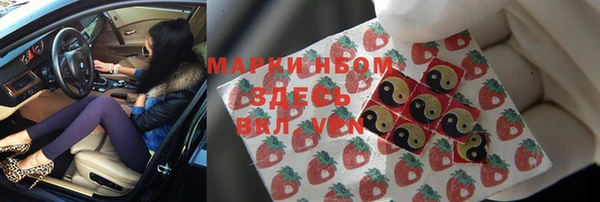 шишки Магас