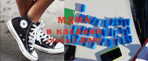 шишки Магас
