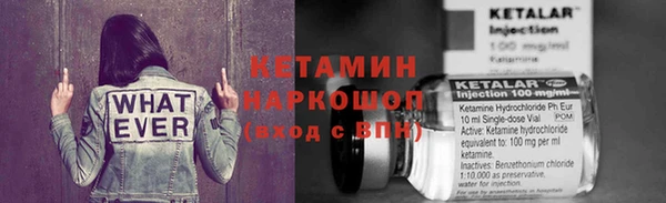 шишки Магас