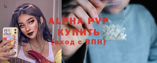 шишки Магас