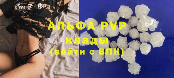 шишки Магас